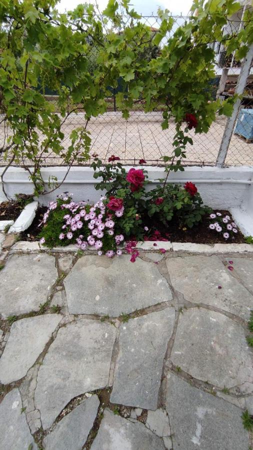 Keti'S Apartments نيا موذانيا المظهر الخارجي الصورة